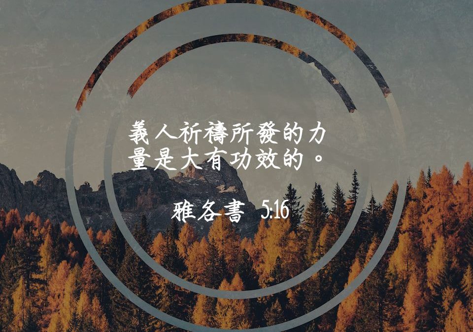 第二階段Day19－迫切禱告